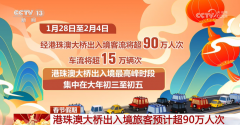 人流车流立异高 外贸新业态成长迅猛 港